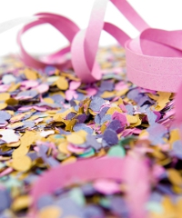 Carnevale di Villa Literno 2026