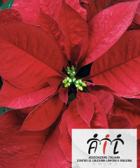 All Eurospin Si Sciopera Chiedendo Pi Salute Lucca