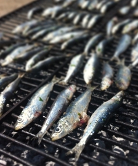 Azzurro come il Pesce 2025, la festa della cucina tradizionale - Piazza Ciceruacchio 10, Cesenatico (FC) - 25a edizione della rassegna gastronomica Ritorna a Cesenatico la kermesse gastronomica "Azzurro come il pesce" all'insegna della valorizzazione del pr...