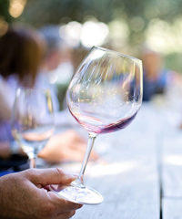 Valtellina Wine Festival 2026 al festa dei vini di Valtellina