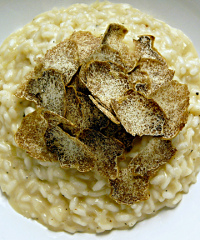Mostra Nazionale del tartufo bianco pregiato delle Marche