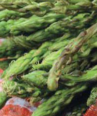 Festa dell'Asparago Selvatico: mercato degli agricoltori, hobbisti, degustazioni