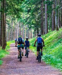 Visita il Parco La Mandria su due ruote - Viale Carlo Emanuele ii 256, Venaria Reale (TO) - Biciclettata nel Parco La bicicletta è il mezzo ideale per scoprire il Parco. Le sue dolci pendenze rendono i percorsi vari e adatti quasi a tutti. Po...