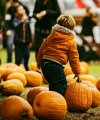 Torna una nuova edizione del Villaggio delle Zucche PuraVida Farm