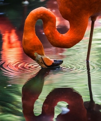 Primavera Slow 2026, tre mesi di eventi e attività nel Delta del Po