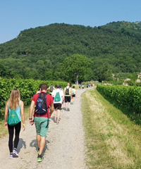 Francigena Fidenza Festival 2026, il festival dei cammini d'Italia e d'Europa