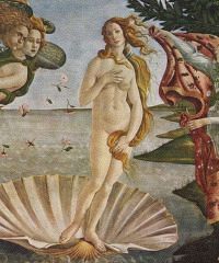 Da Botticelli a Mucha. Bellezza, Natura, Seduzione a Torino - Piazzetta Reale 1, Torino (TO) - La nuova mostra dei Musei Reali Dal 17 aprile al 27 luglio 2025, nelle Sale Chiablese dei Musei Reali di Torino, apre al pubblico la mostra Da Botti...