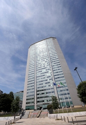 Nati Due Falchetti In Cima Al Pirellone Assago