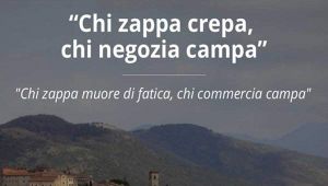 chi zappa