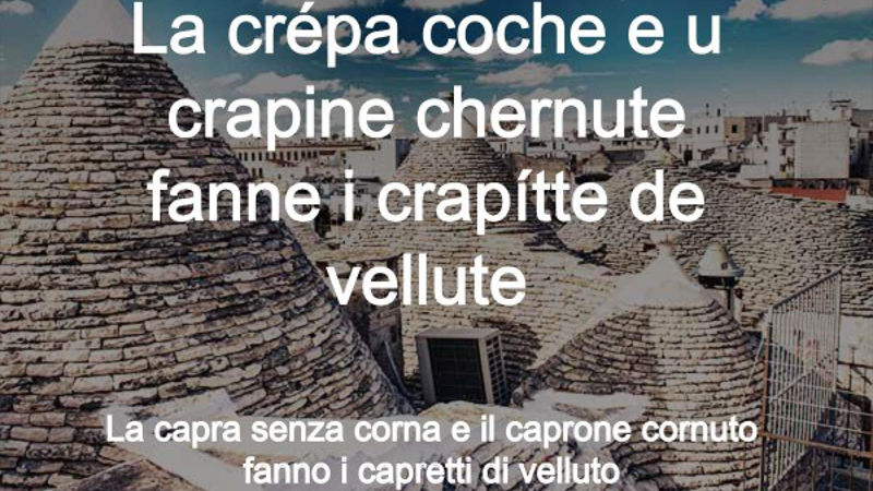 coche
