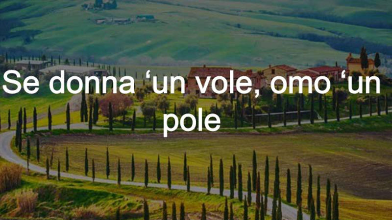 donna