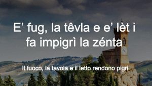 pigri
