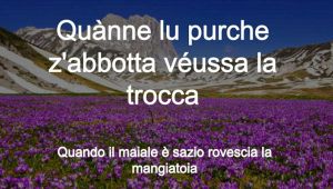 purche