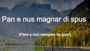 spus