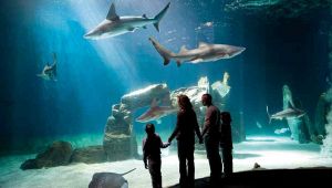 genova-acquario