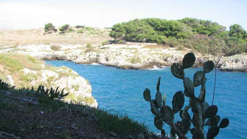 approdo-enea