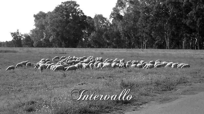 00-intervallo