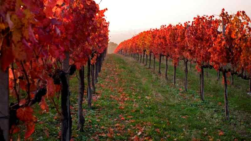 I più bei luoghi italiani dove poter ammirare il foliage
