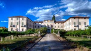 pitt_valpolicella