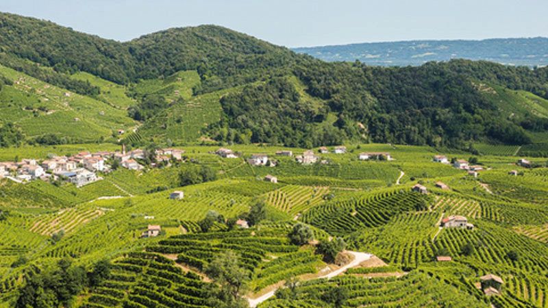 Colline Prosecco