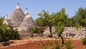I muretti a secco della Puglia candidati a Patrimonio Unesco
