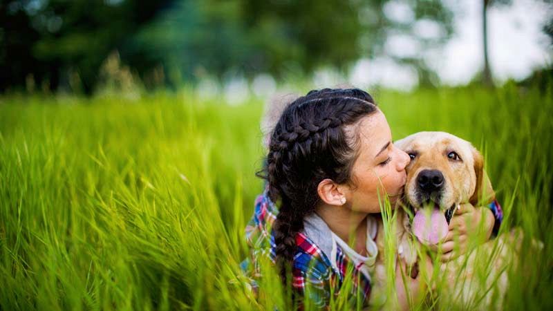 Nasce alle porte di Milano la prima ludoteca per cani e umani