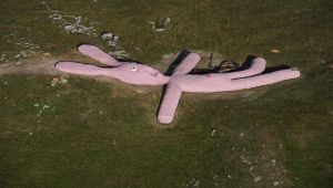 Vicino Cuneo, sulle Alpi c'è un coniglio gigante rosa