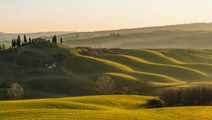 Dalla Marche alla Campania: ecco i vincitori delle spighe verdi, le bandiere blu dell'agricoltura