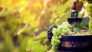 Uva da tavola italiana: mai dolce come quest'anno. Come riconoscere le differenze?