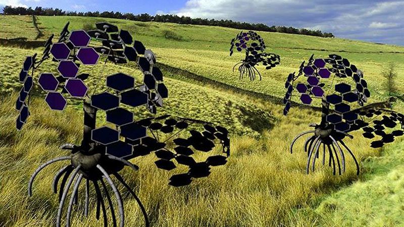 Nei centri di ricerca di Pontedera nascono piante-robot e sensori che sentono le carezze