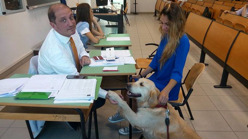 Ansia da esame? Niente paura, all'università di Teramo c'è la pet-therapy