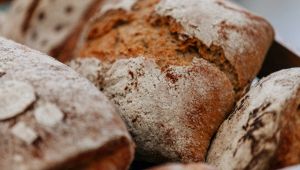 Forno comunictario 3