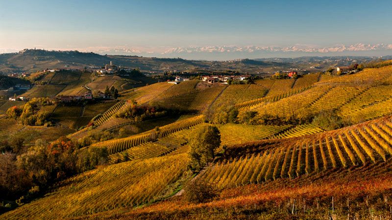 Panorama delle Langhe