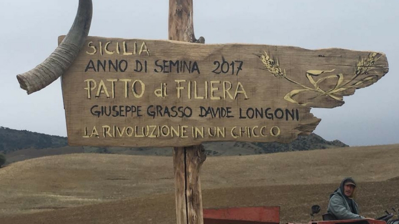 Sicilia: ecco come sarà il pane del futuro