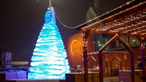 Natale a Torino: arriva l'albero di ghiaccio