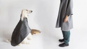 A MIlano c'è una boutique dove le signore possono vestirsi en pendant con i loro cani