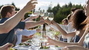 Bianco, fermo e doc: ecco com'è il vino preferito dagli italiani