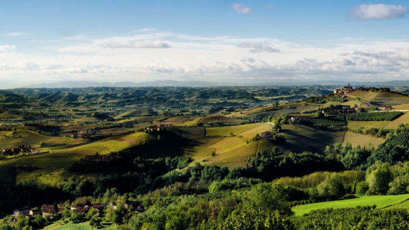 Il Barolo Da Record Delle Langhe Mezzo Ettaro Vale Due Milioni Di Euro