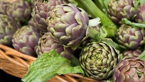 Bontà e tradizione: tutto pronto per la sagra del carciofo di Ladispoli