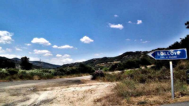 All you need is Lollove