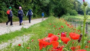 Non solo Santiago o Francigena, ecco gli altri cammini da fare in Italia - Via di San Francesco