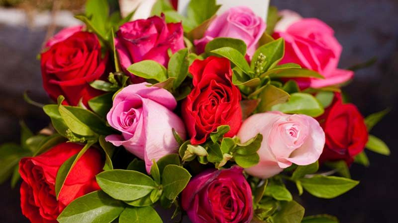 L'omaggio di Coniolo agli innamorati distributori di rose per le emergenze d'amore