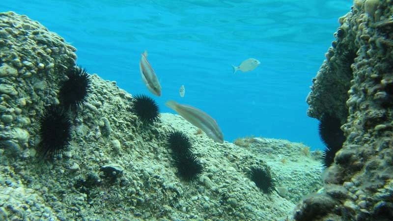 Viaggio attraverso le spiagge fossili della Liguria