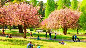 Parco a Roma