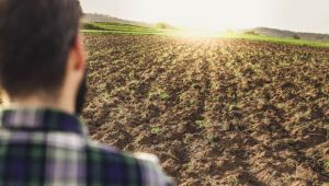 terreni agricoli vendita