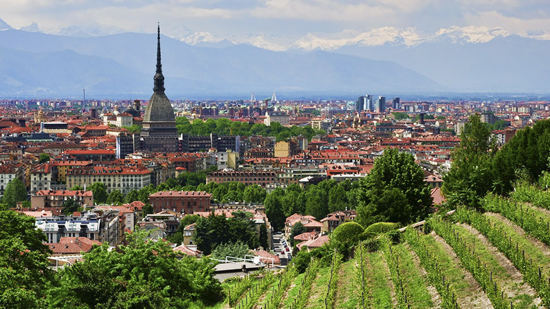 torino-grapes-in-town