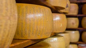 Parmigiano Reggiano premi