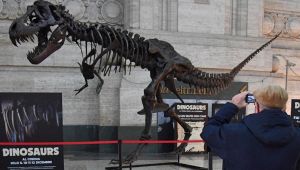 t-rex milano stazione centrale