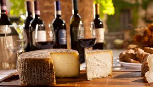 turismo enogastronomico toscana