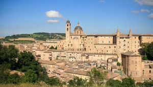 urbino marche